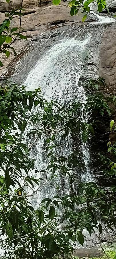 4 Acre Woods Farm Stay Munnar Eksteriør bilde