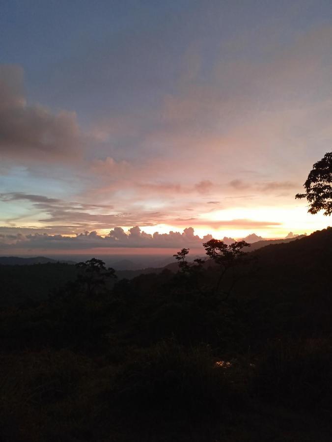 4 Acre Woods Farm Stay Munnar Eksteriør bilde