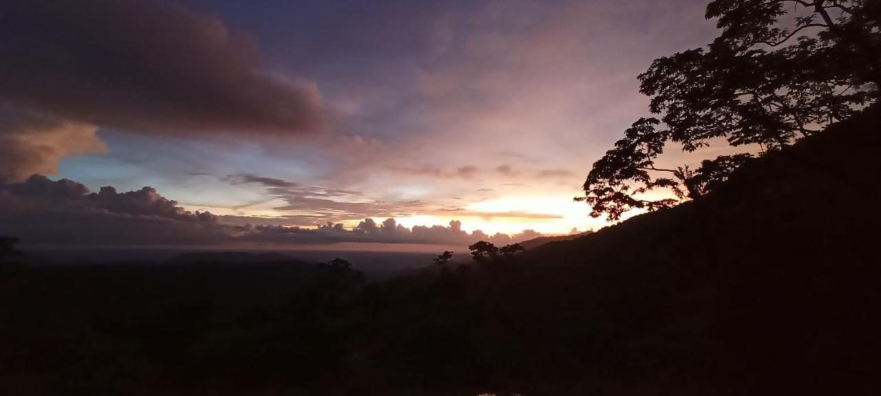 4 Acre Woods Farm Stay Munnar Eksteriør bilde